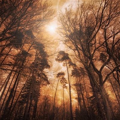 网传“新能源车充电涨价是因为用油发电”？真相来了